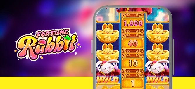 Wild Fireworks Game